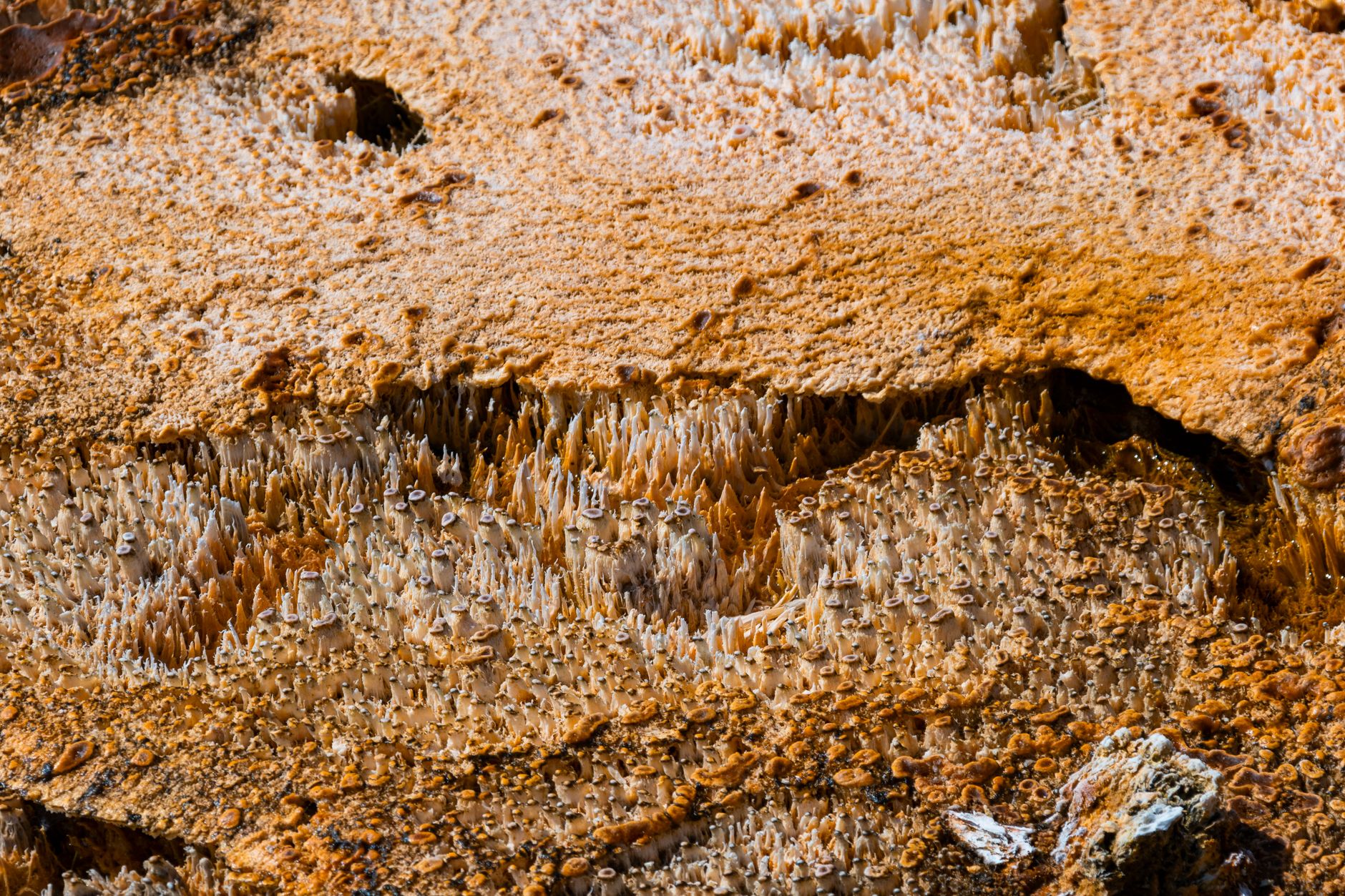 Calcium Hydroxylapatite With CO2 Laser for Acne Scars in 2026: Pigment, Pain, and Recovery Questions for People With Atrophic Acne Scars - Featured image