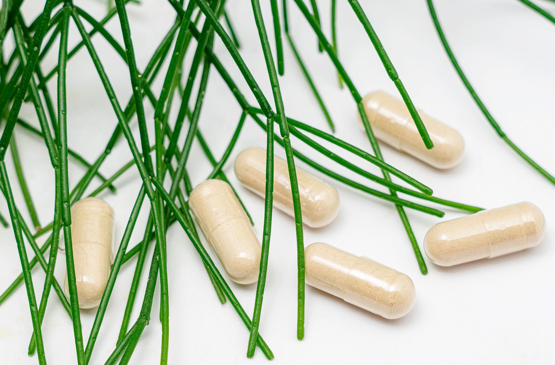 Lactoferrin Supplements for Acne: What the Research Actually Shows - Featured image