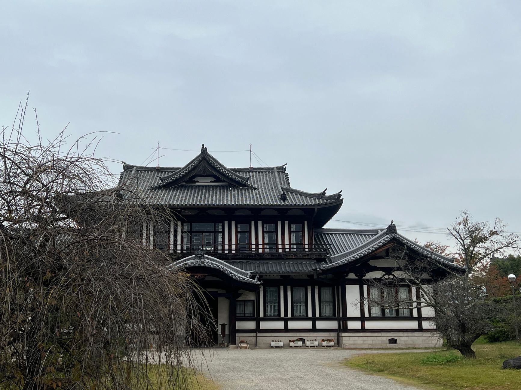 Nara Smith's Skincare Searches: Beef Tallow vs Squalane for Acne-Prone Skin - Featured image